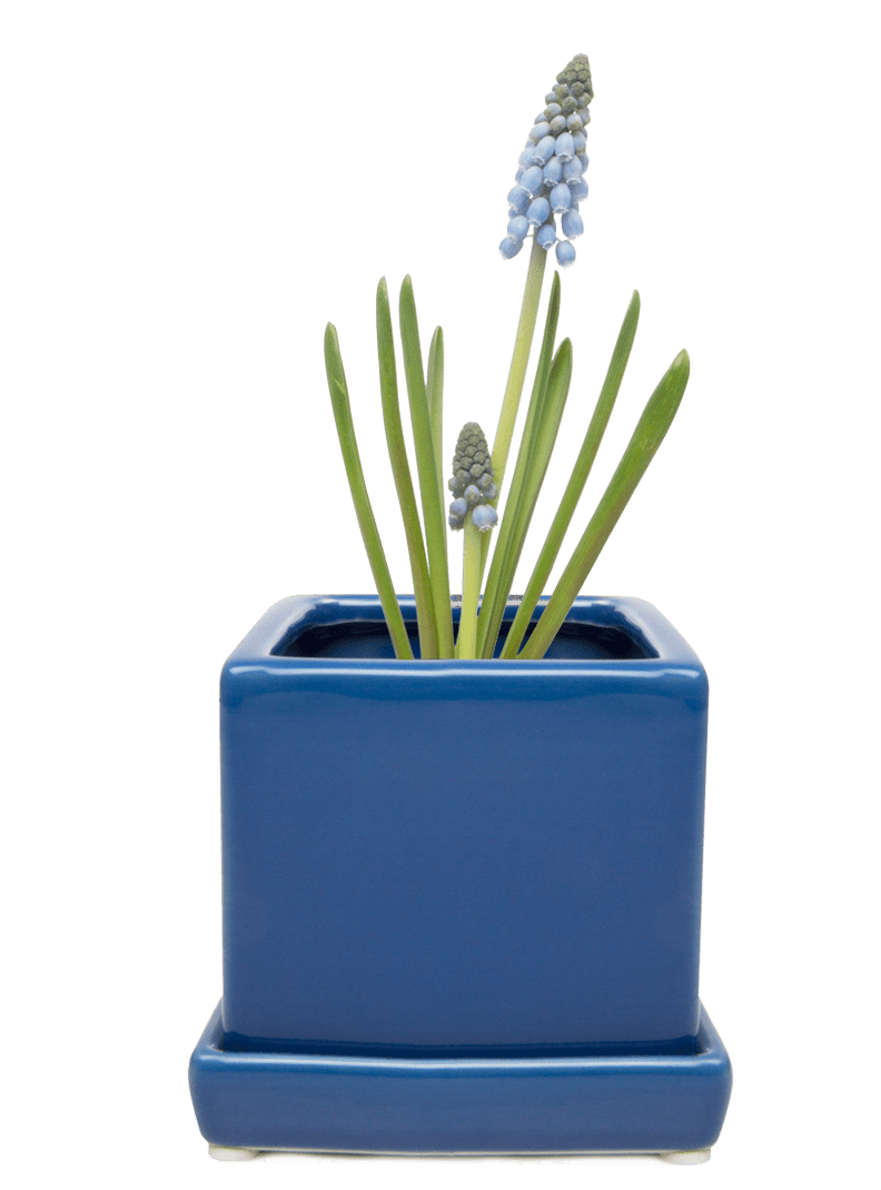 Cube & Saucer Ceramic Pot With Drainage Hole - Chive Ceramics Studio - Pots - Chive Ceramics Studio