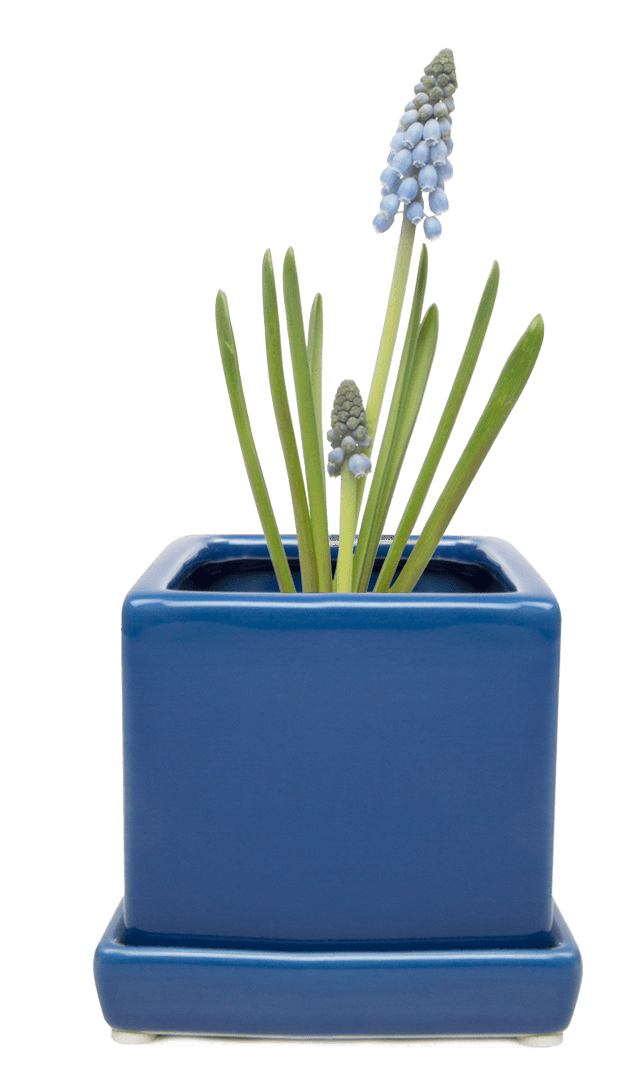 Cube & Saucer Ceramic Pot With Drainage Hole - Chive Ceramics Studio - Pots - Chive Ceramics Studio