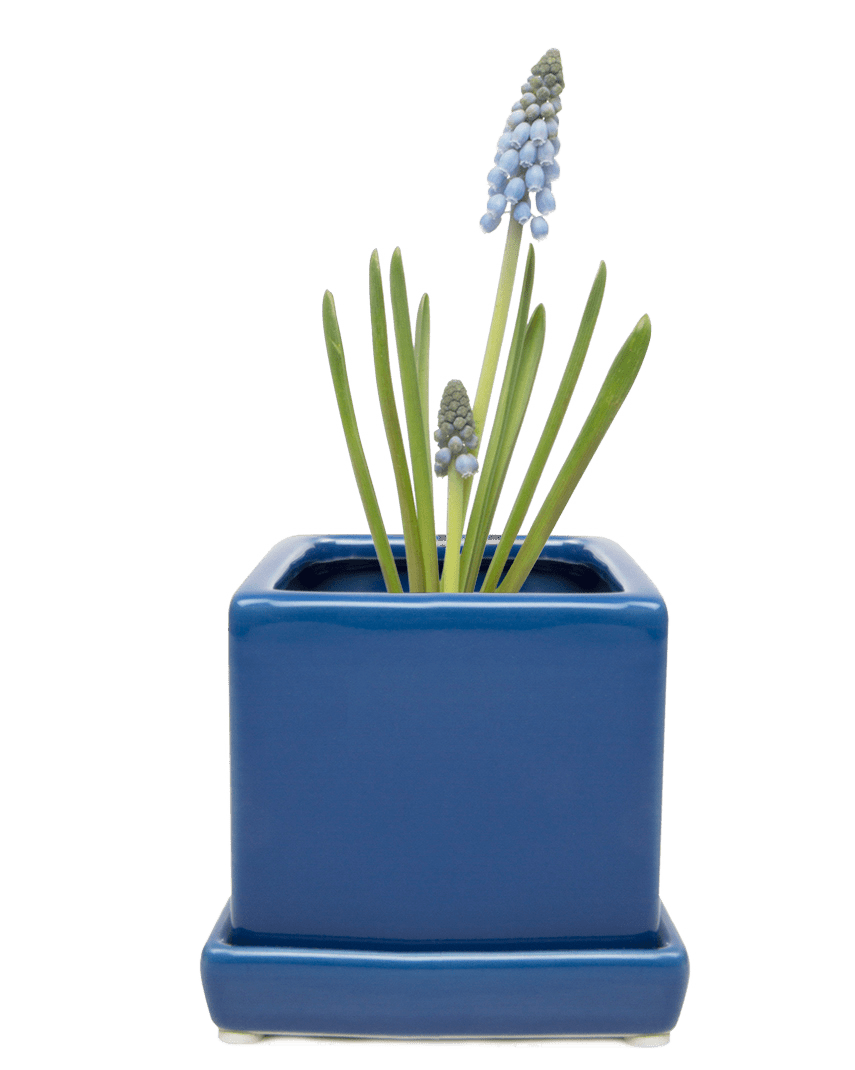 Cube & Saucer Ceramic Pot With Drainage Hole - Chive Ceramics Studio - Pots - Chive Ceramics Studio