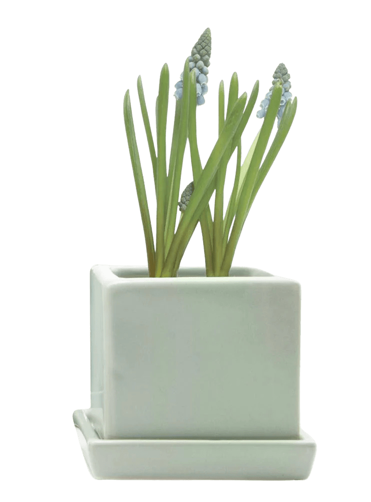 Cube & Saucer Ceramic Pot With Drainage Hole - Chive Ceramics Studio - Pots - Chive Ceramics Studio