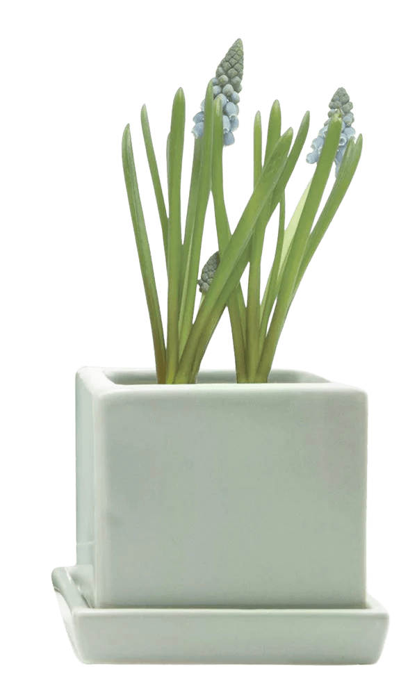 Cube & Saucer Ceramic Pot With Drainage Hole - Chive Ceramics Studio - Pots - Chive Ceramics Studio