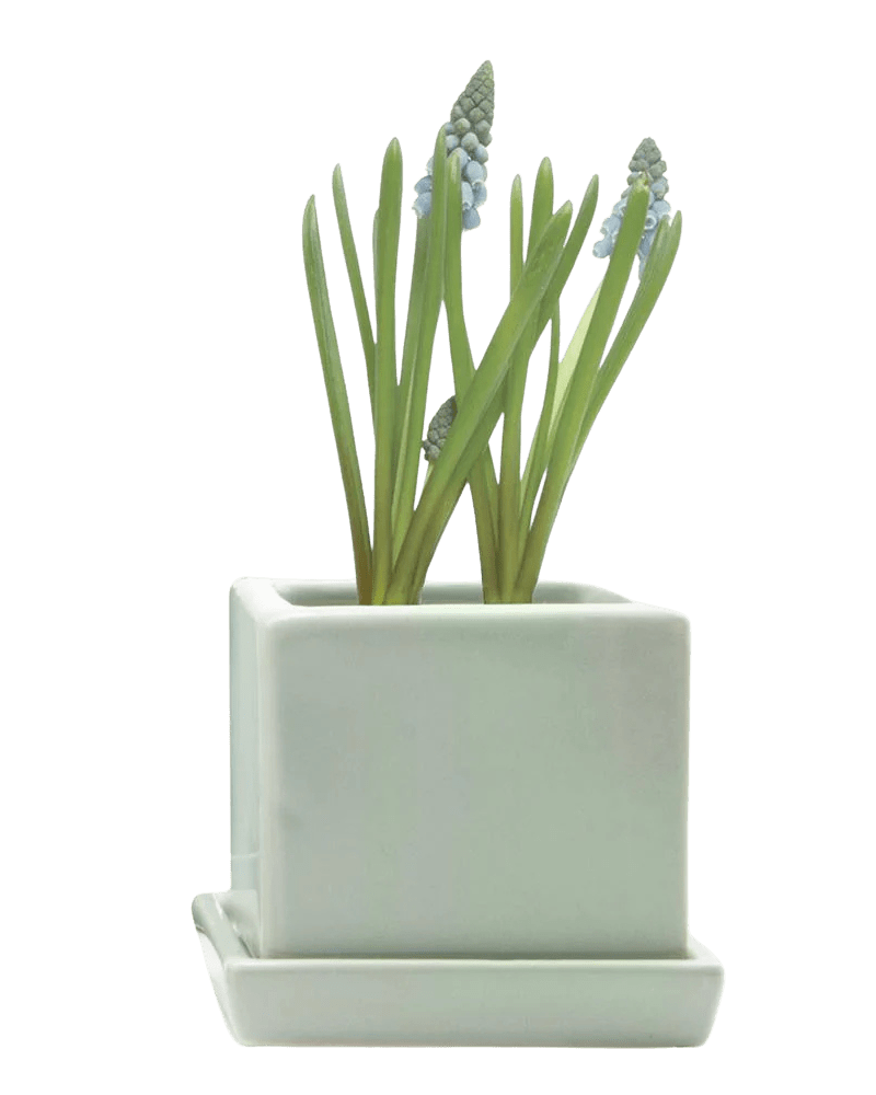 Cube & Saucer Ceramic Pot With Drainage Hole - Chive Ceramics Studio - Pots - Chive Ceramics Studio