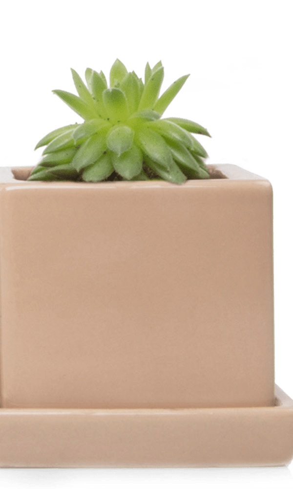 Cube & Saucer Ceramic Pot With Drainage Hole - Chive Ceramics Studio - Pots - Chive Ceramics Studio