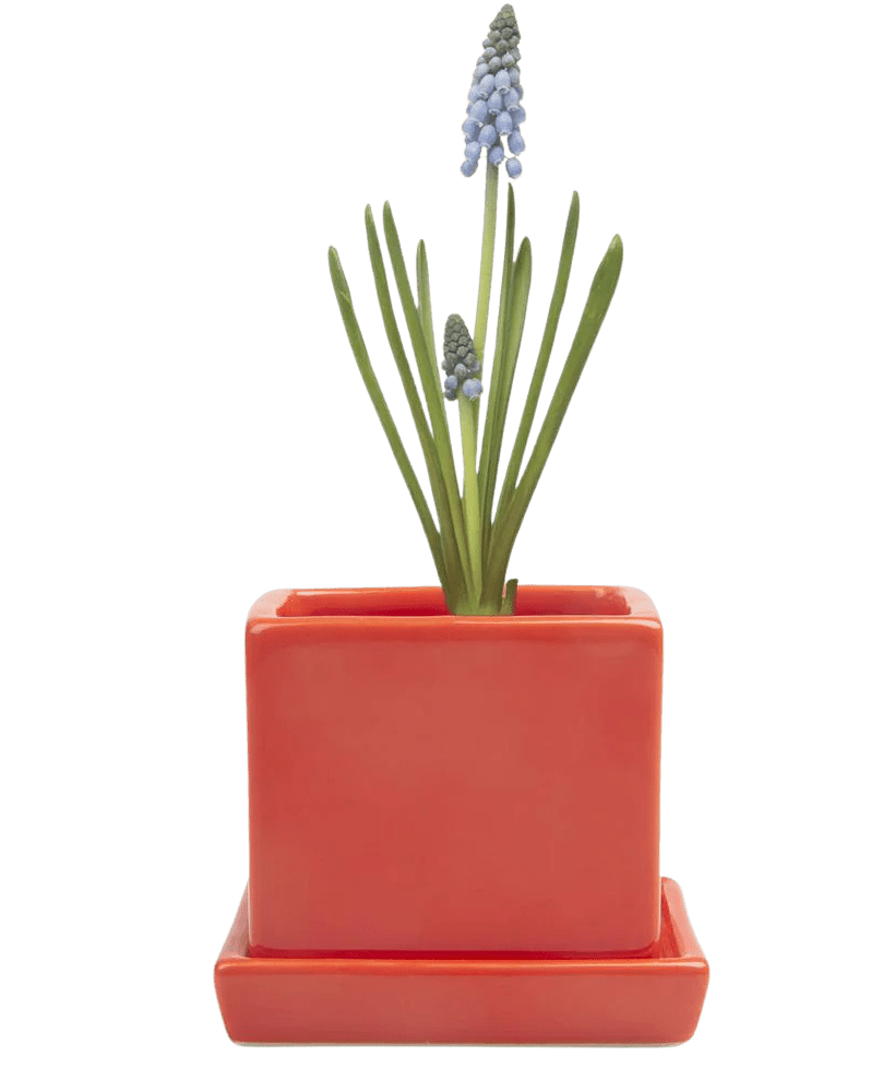 Cube & Saucer Ceramic Pot With Drainage Hole - Chive Ceramics Studio - Pots - Chive Ceramics Studio