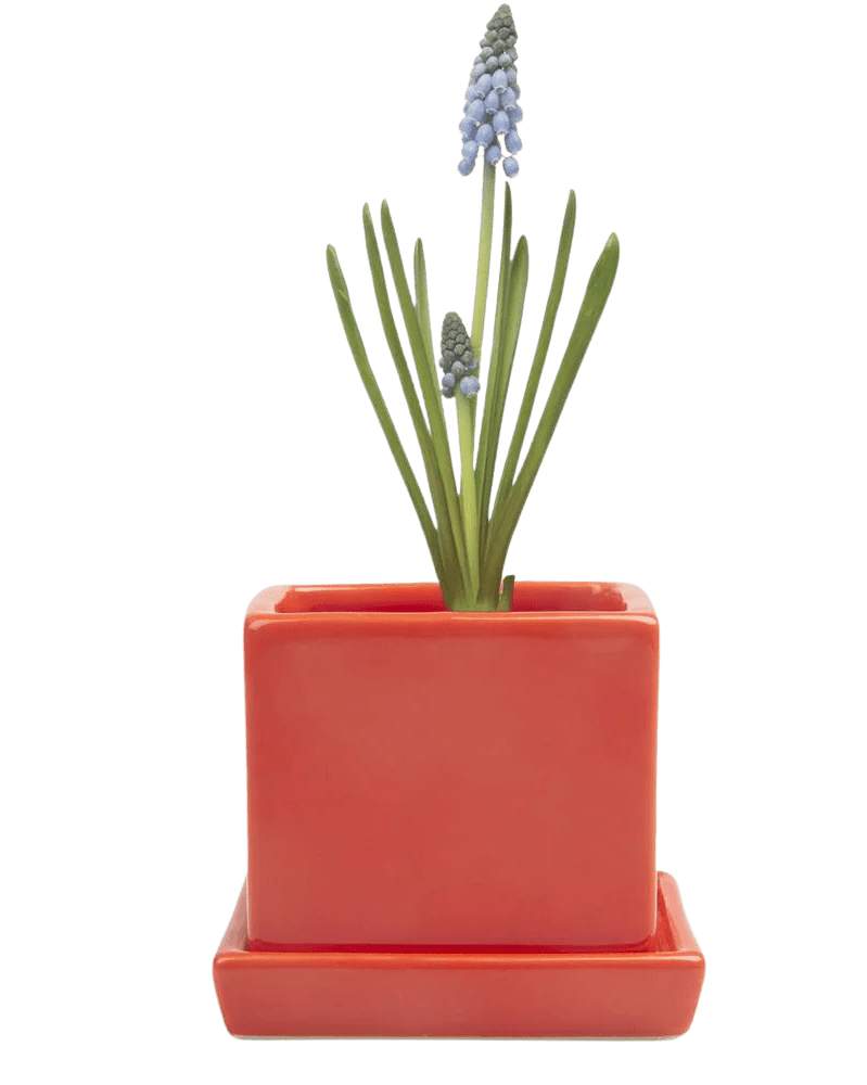 Cube & Saucer Ceramic Pot With Drainage Hole - Chive Ceramics Studio - Pots - Chive Ceramics Studio