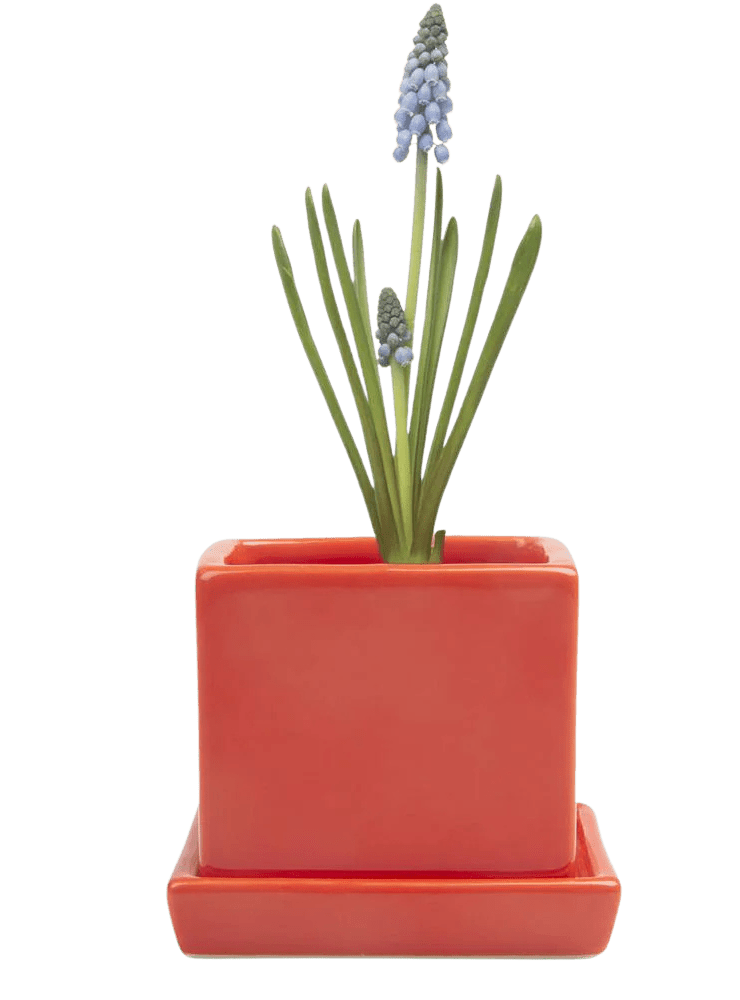 Cube & Saucer Ceramic Pot With Drainage Hole - Chive Ceramics Studio - Pots - Chive Ceramics Studio