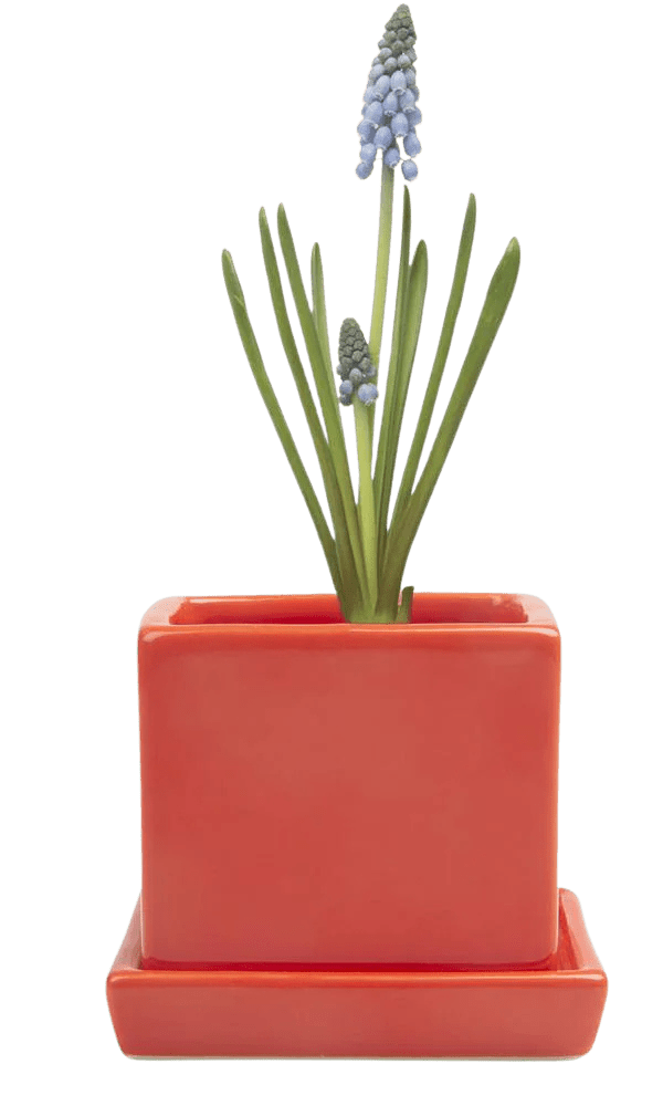 Cube & Saucer Ceramic Pot With Drainage Hole - Chive Ceramics Studio - Pots - Chive Ceramics Studio