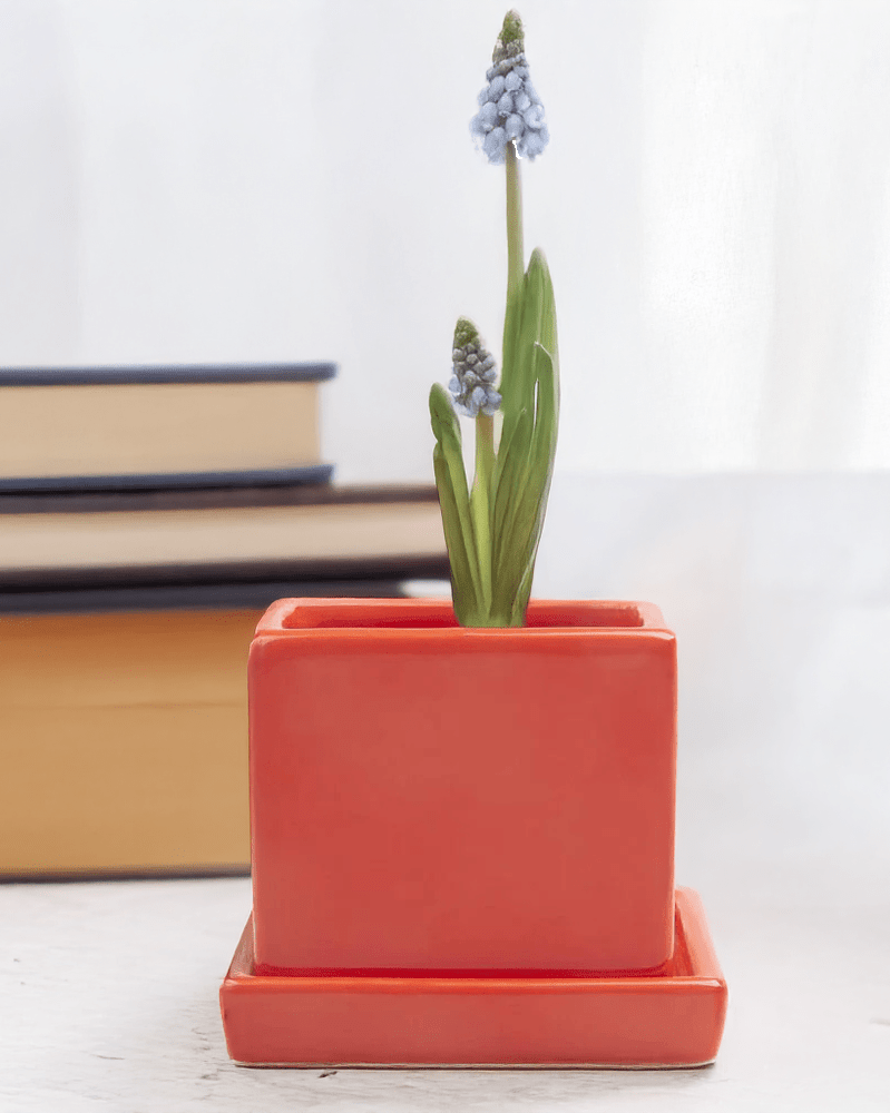 Cube & Saucer Ceramic Pot With Drainage Hole - Chive Ceramics Studio - Pots - Chive Ceramics Studio