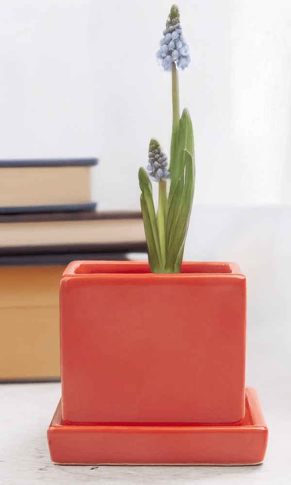 Cube & Saucer Ceramic Pot With Drainage Hole - Chive Ceramics Studio - Pots - Chive Ceramics Studio