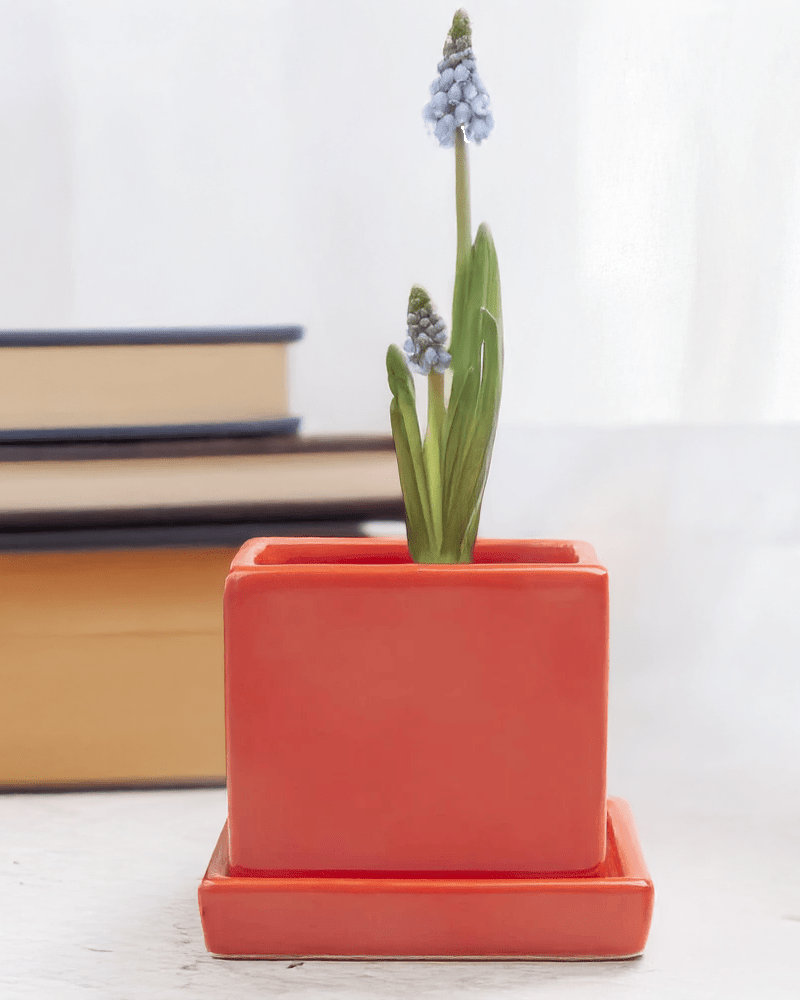 Cube & Saucer Ceramic Pot With Drainage Hole - Chive Ceramics Studio - Pots - Chive Ceramics Studio