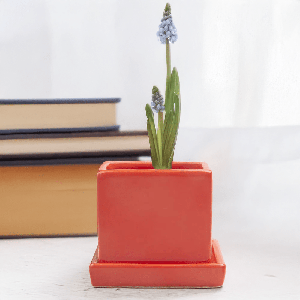 Cube & Saucer Ceramic Pot With Drainage Hole - Chive Ceramics Studio - Pots - Chive Ceramics Studio