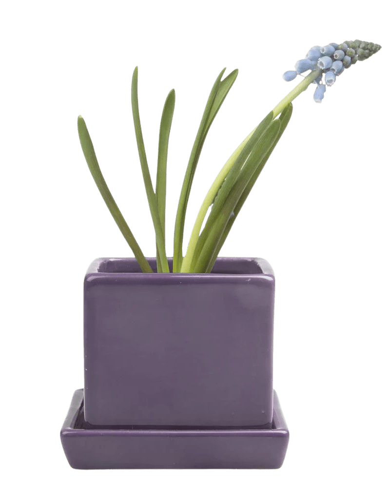 Cube & Saucer Ceramic Pot With Drainage Hole - Chive Ceramics Studio - Pots - Chive Ceramics Studio