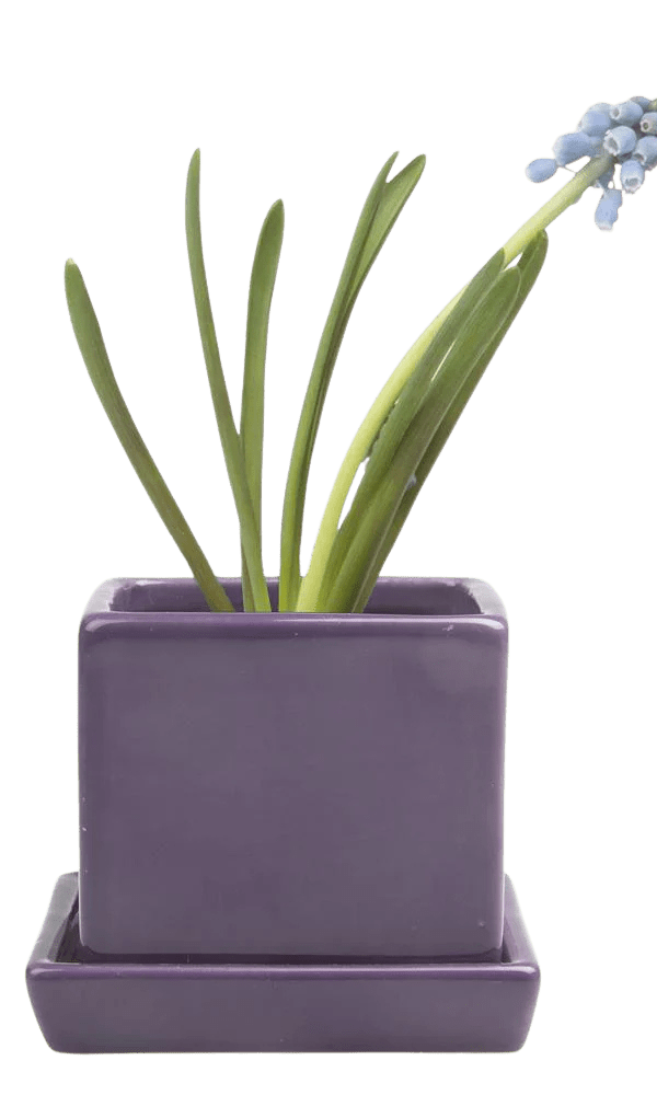 Cube & Saucer Ceramic Pot With Drainage Hole - Chive Ceramics Studio - Pots - Chive Ceramics Studio