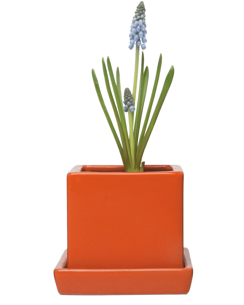 Cube & Saucer Ceramic Pot With Drainage Hole - Chive Ceramics Studio - Pots - Chive Ceramics Studio