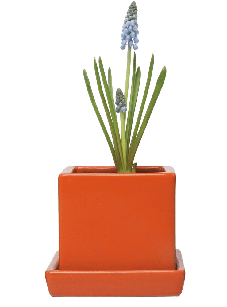 Cube & Saucer Ceramic Pot With Drainage Hole - Chive Ceramics Studio - Pots - Chive Ceramics Studio