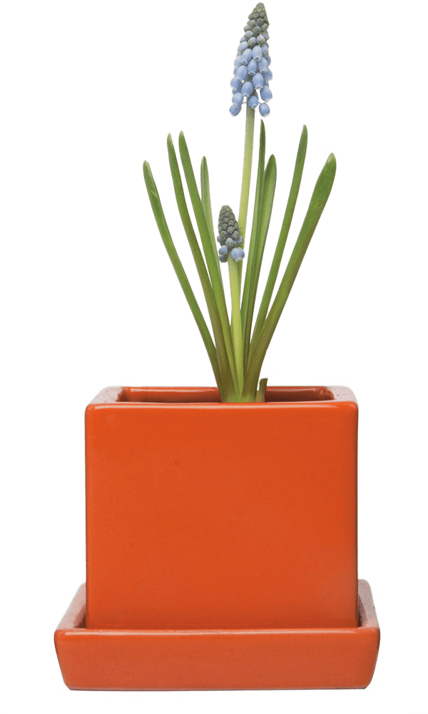 Cube & Saucer Ceramic Pot With Drainage Hole - Chive Ceramics Studio - Pots - Chive Ceramics Studio
