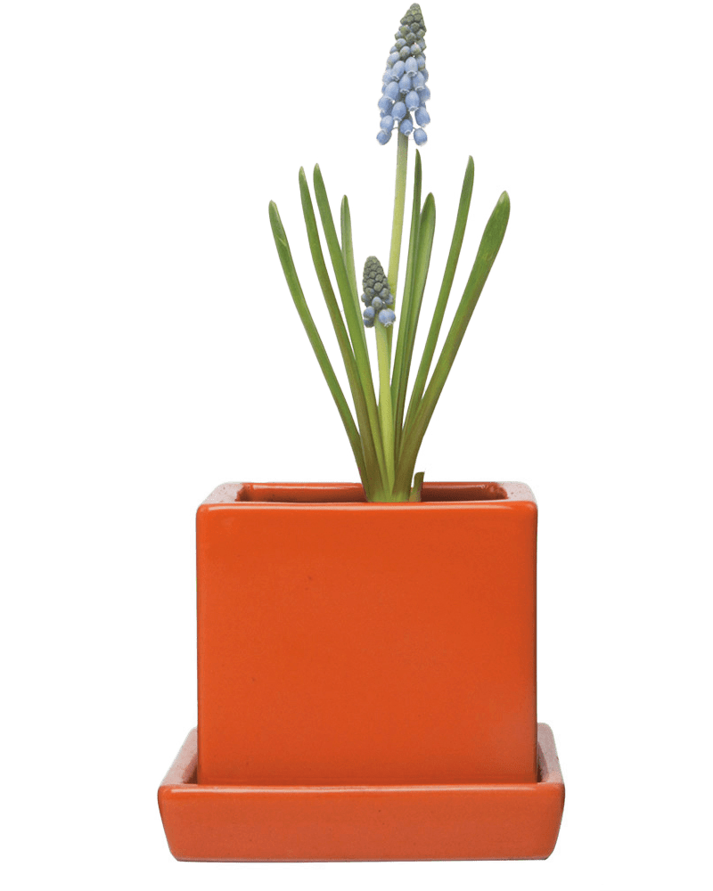 Cube & Saucer Ceramic Pot With Drainage Hole - Chive Ceramics Studio - Pots - Chive Ceramics Studio