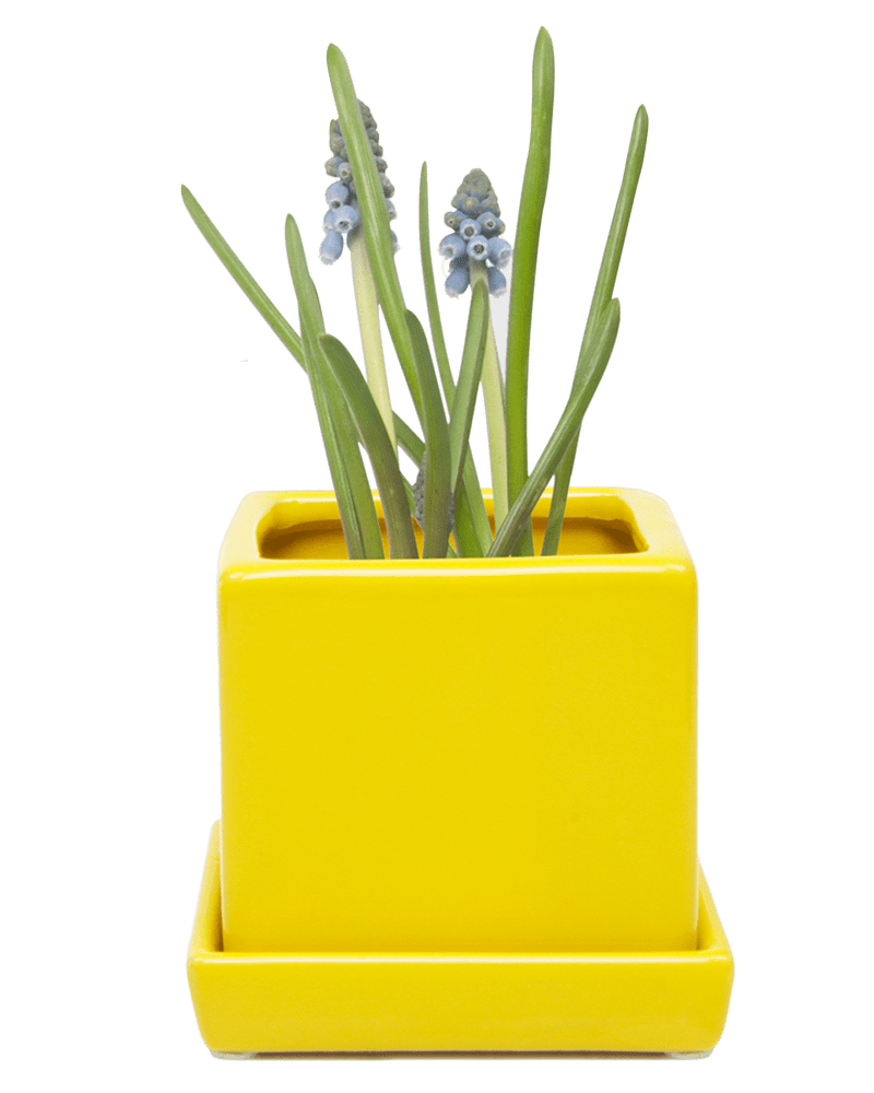 Cube & Saucer Ceramic Pot With Drainage Hole - Chive Ceramics Studio - Pots - Chive Ceramics Studio