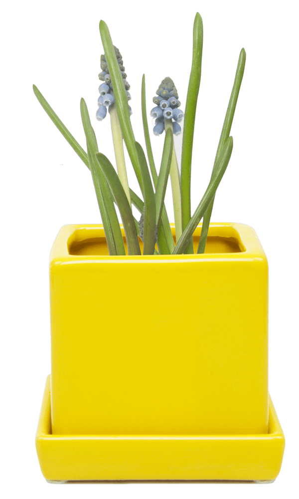 Cube & Saucer Ceramic Pot With Drainage Hole - Chive Ceramics Studio - Pots - Chive Ceramics Studio