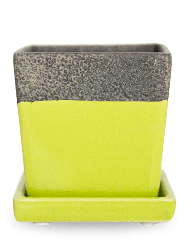 Chive Duo chartreuse ceramic pot with drainage and detachable saucer.