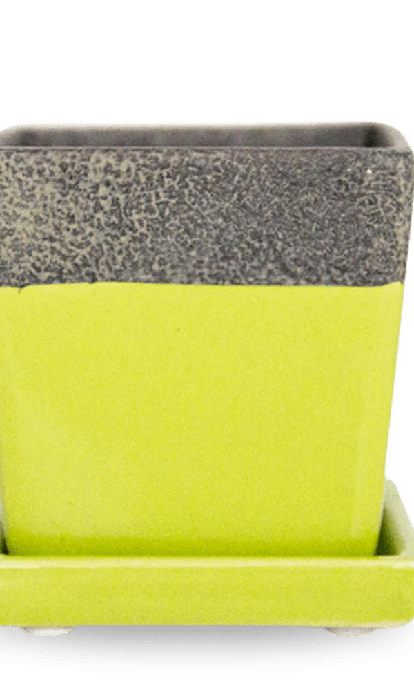 Chive Duo chartreuse ceramic pot with drainage and detachable saucer.