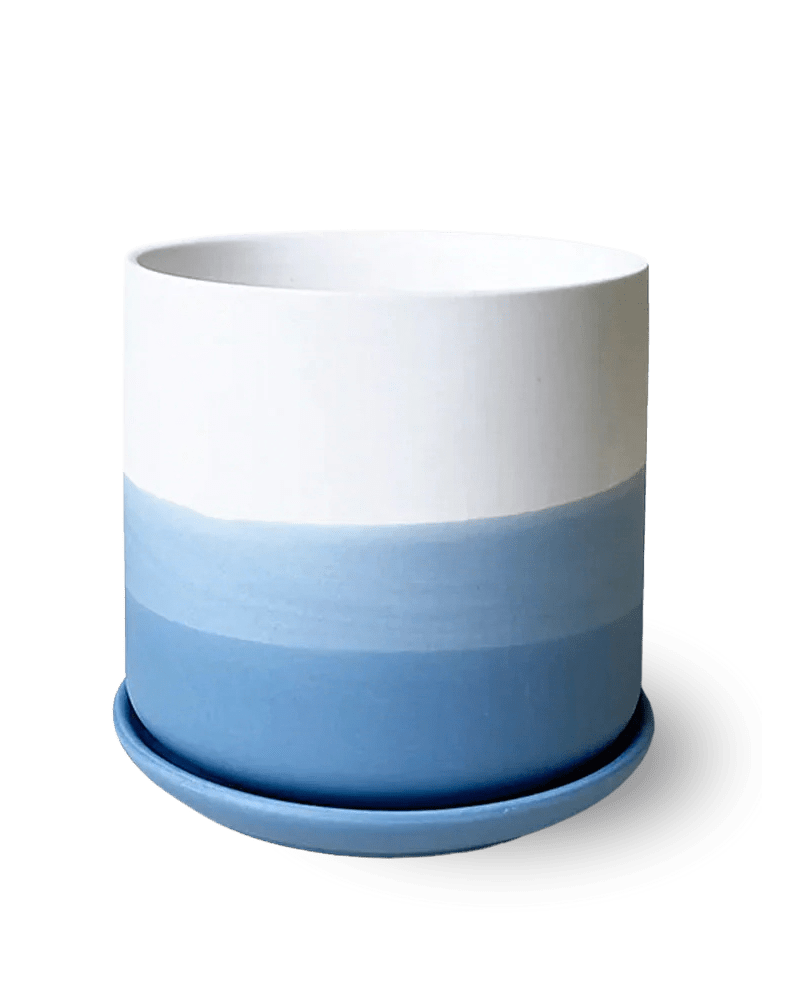 Devo Porcelain Planter With Drainage Hole And Saucer - Chive Ceramics Studio - Pots - Chive US