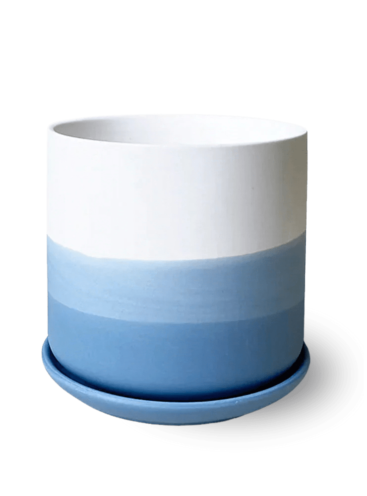 Devo Porcelain Planter With Drainage Hole And Saucer - Chive Ceramics Studio - Pots - Chive US