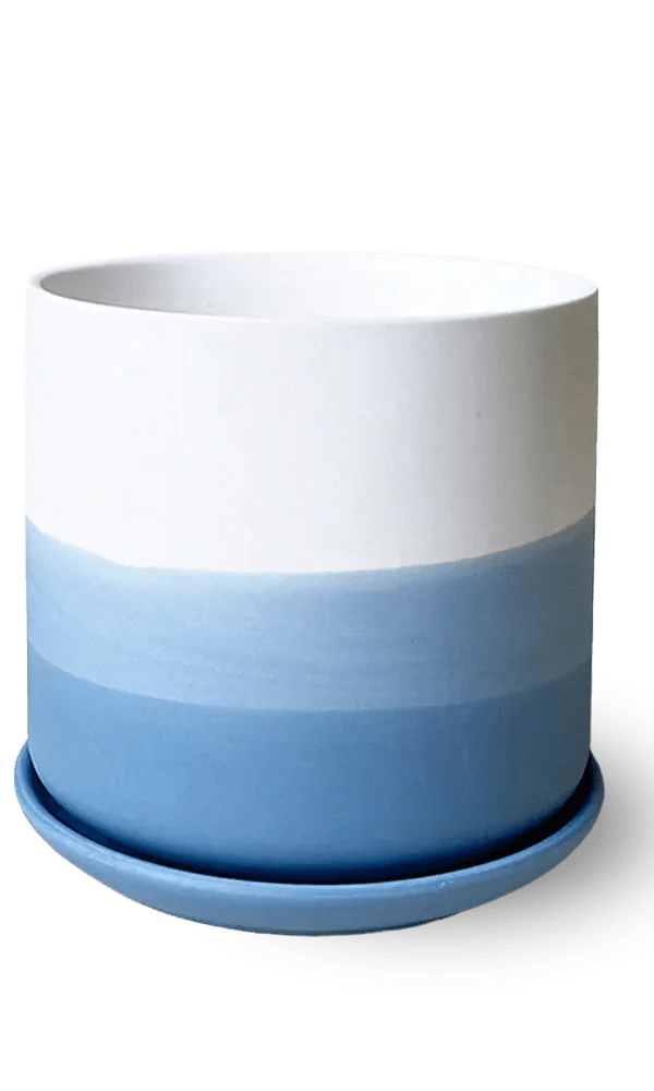 Devo Porcelain Planter With Drainage Hole And Saucer - Chive Ceramics Studio - Pots - Chive US