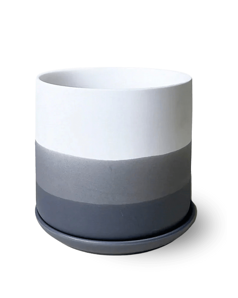 Devo Porcelain Planter With Drainage Hole And Saucer - Chive Ceramics Studio - Pots - Chive US
