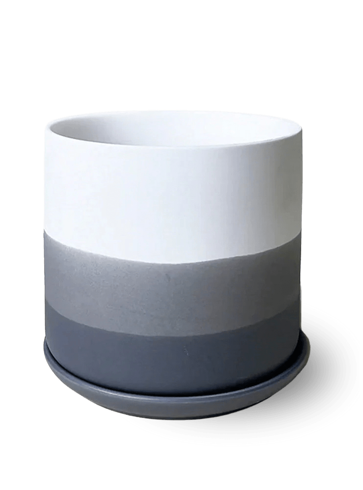 Devo Porcelain Planter With Drainage Hole And Saucer - Chive Ceramics Studio - Pots - Chive US