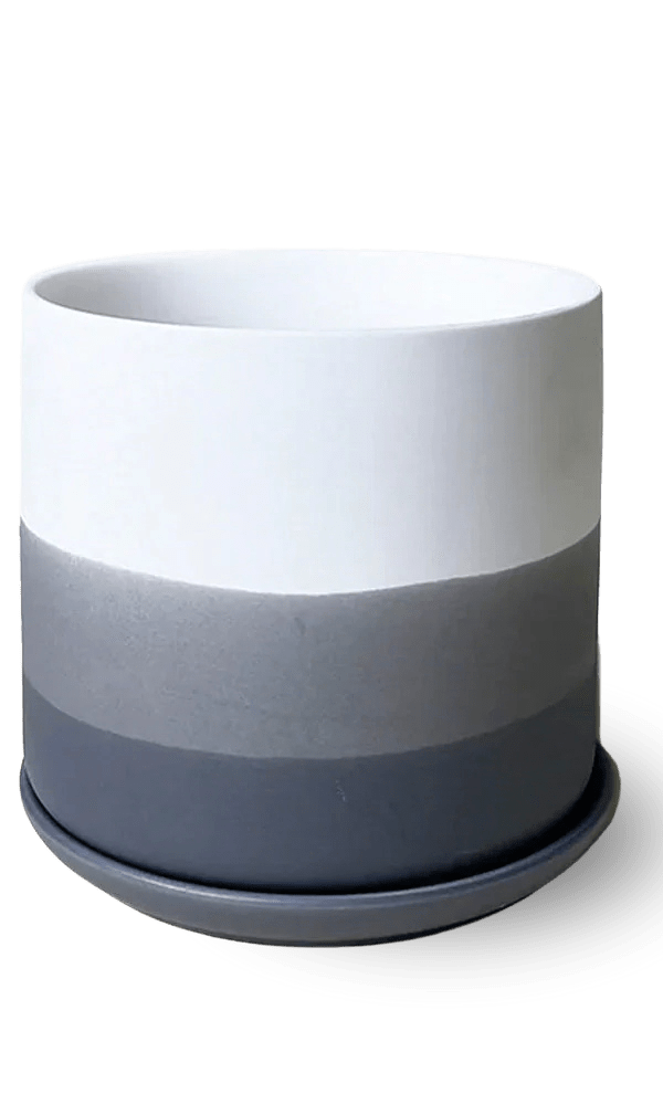 Devo Porcelain Planter With Drainage Hole And Saucer - Chive Ceramics Studio - Pots - Chive US