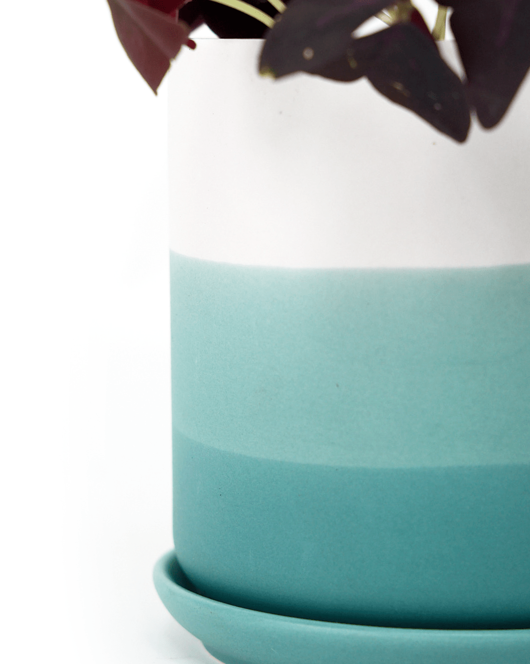 Devo Porcelain Planter With Drainage Hole And Saucer - Chive Ceramics Studio - Pots - Chive US