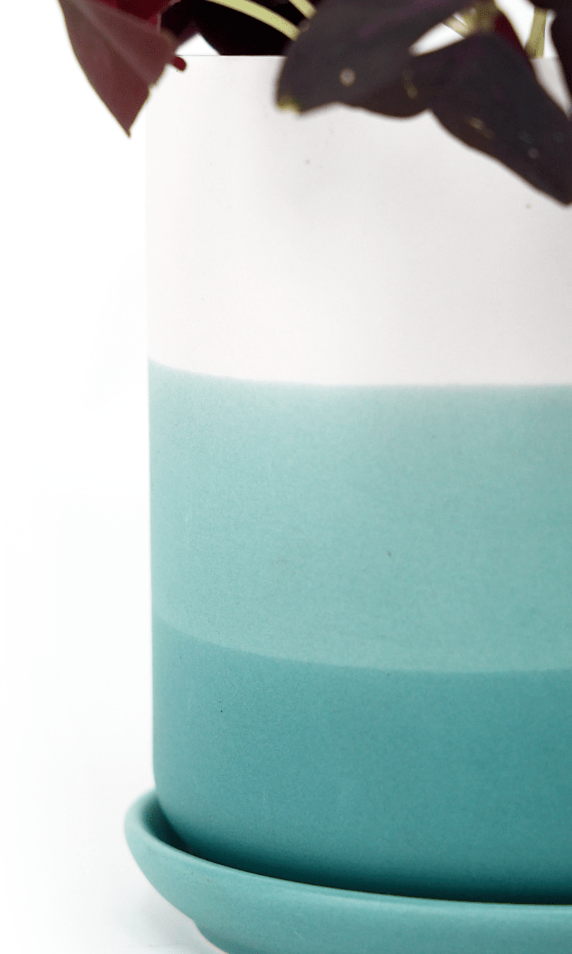 Devo Porcelain Planter With Drainage Hole And Saucer - Chive Ceramics Studio - Pots - Chive US