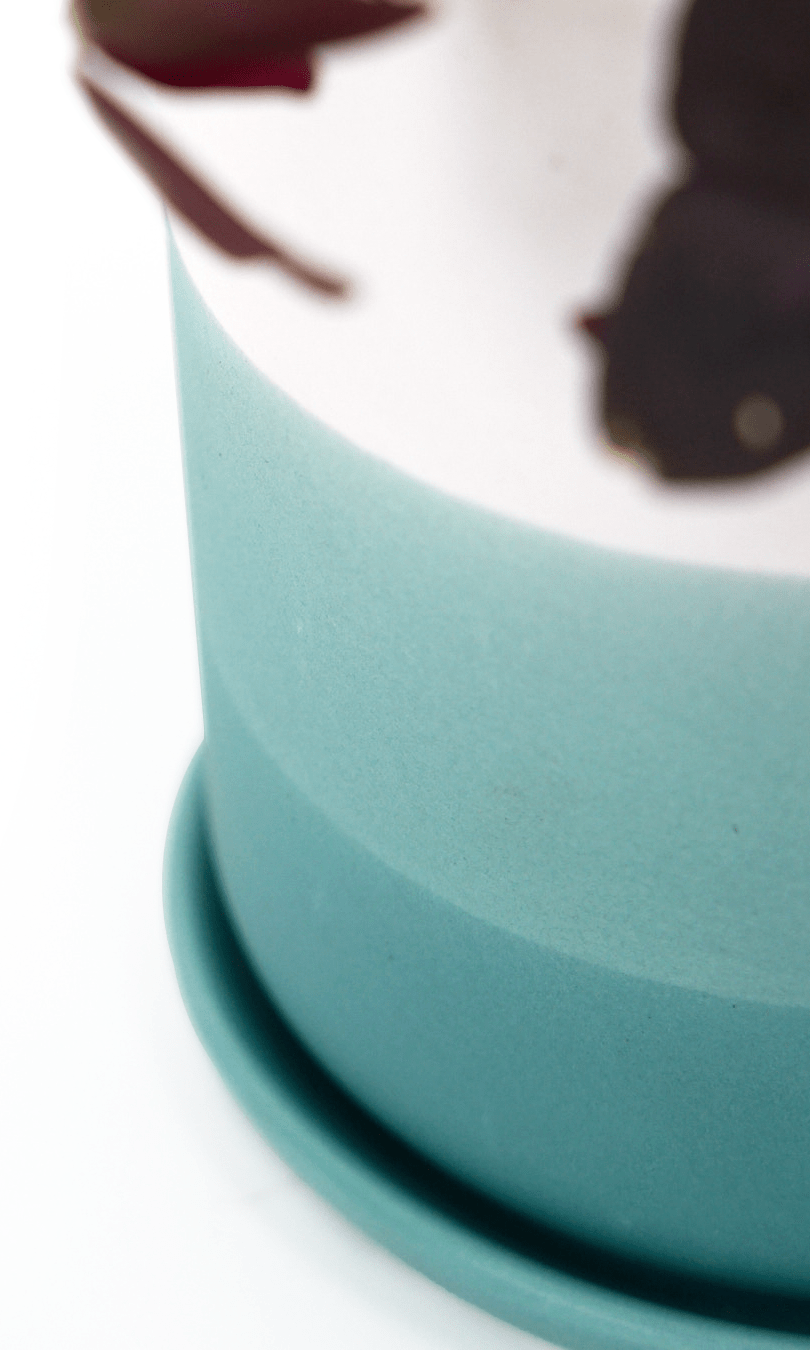 Devo Porcelain Planter With Drainage Hole And Saucer - Chive Ceramics Studio - Pots - Chive US