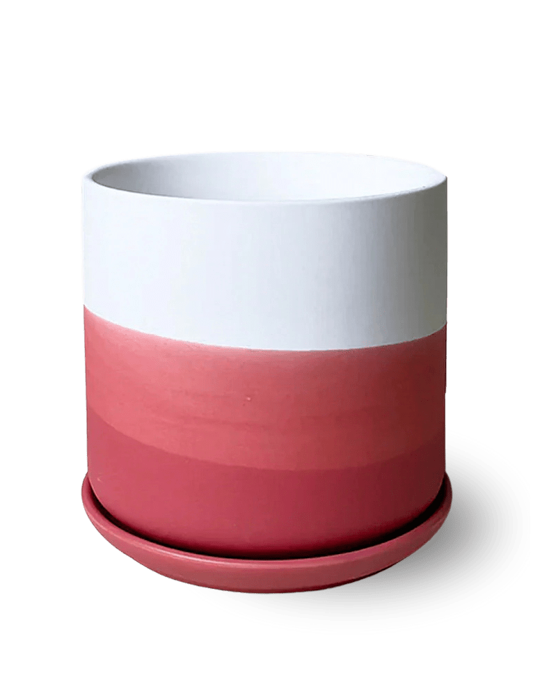 Devo Porcelain Planter With Drainage Hole And Saucer - Chive Ceramics Studio - Pots - Chive US