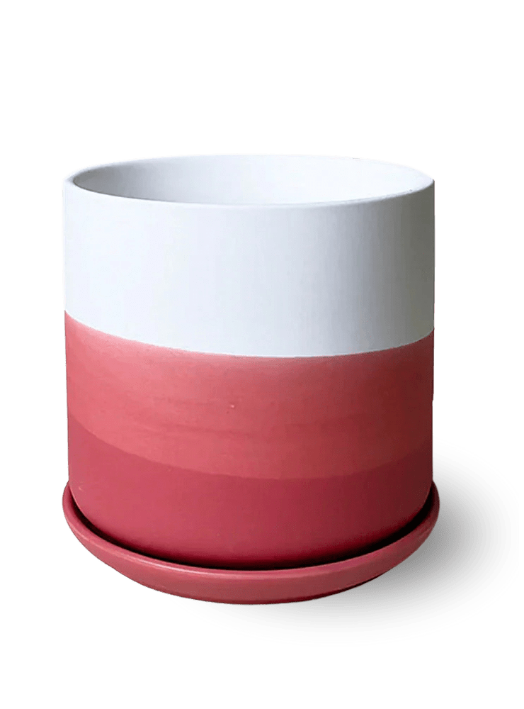 Devo Porcelain Planter With Drainage Hole And Saucer - Chive Ceramics Studio - Pots - Chive US