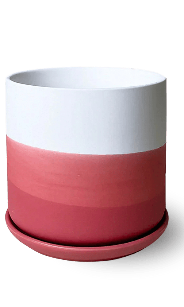 Devo Porcelain Planter With Drainage Hole And Saucer - Chive Ceramics Studio - Pots - Chive US