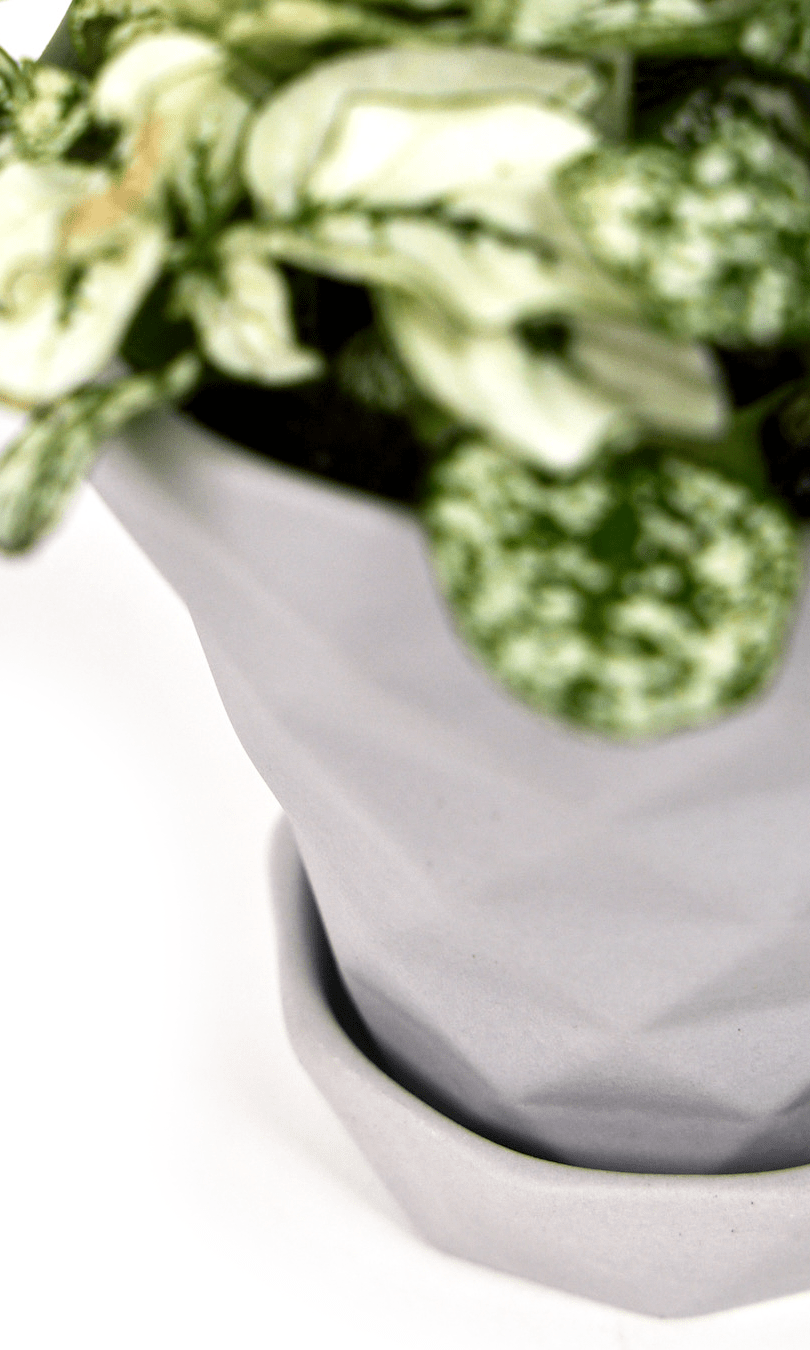 Diamond Porcelain Modern Indoor Plant Pot With Saucer - Chive Ceramics Studio - Pots - Chive US