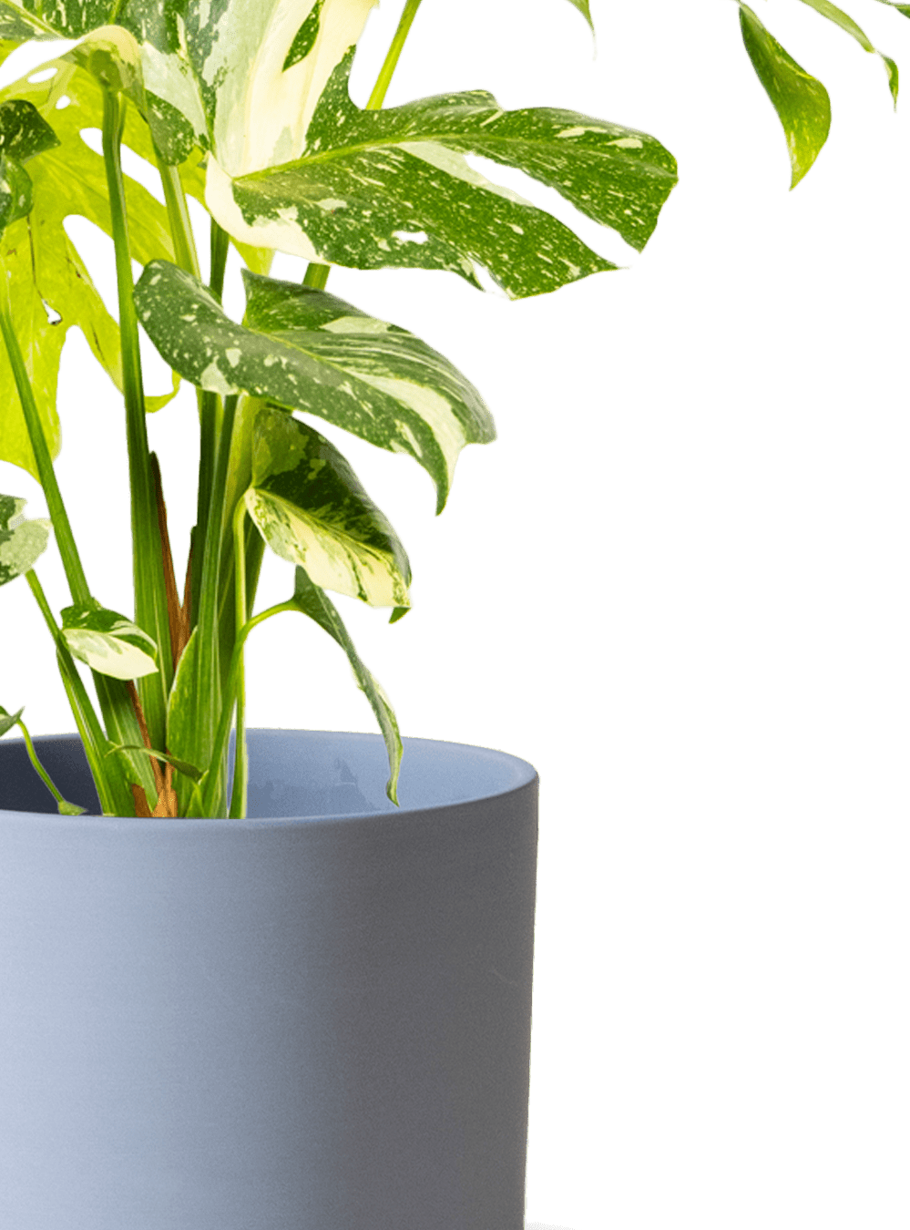 Dojo Porcelain Modern Indoor Plant Pot With Saucer | 6, 7, & 8 Inches - Chive Ceramics Studio - Pots - Chive Ceramics Studio