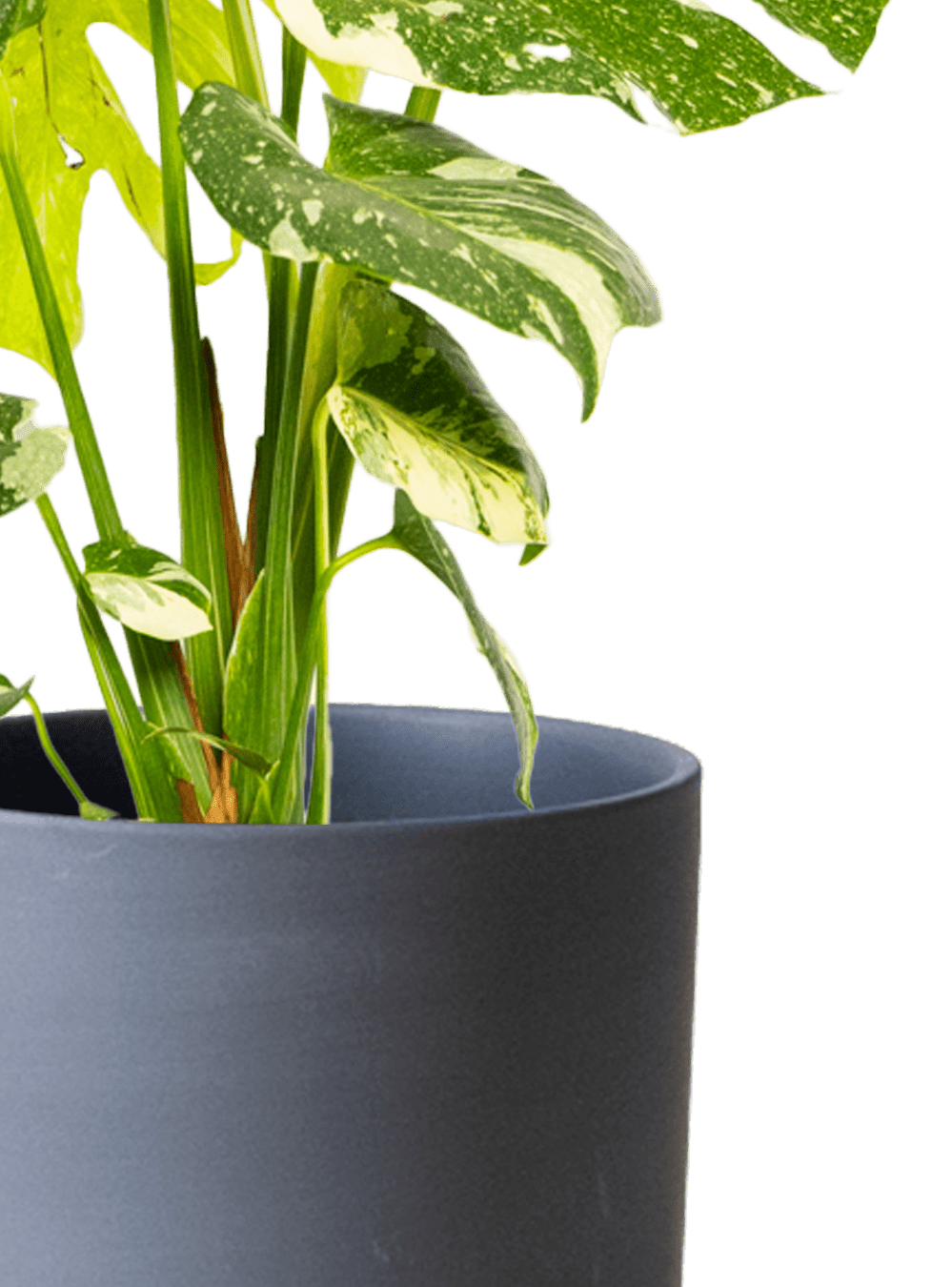 Dojo Porcelain Modern Indoor Plant Pot With Saucer | 6, 7, & 8 Inches - Chive Ceramics Studio - Pots - Chive Ceramics Studio