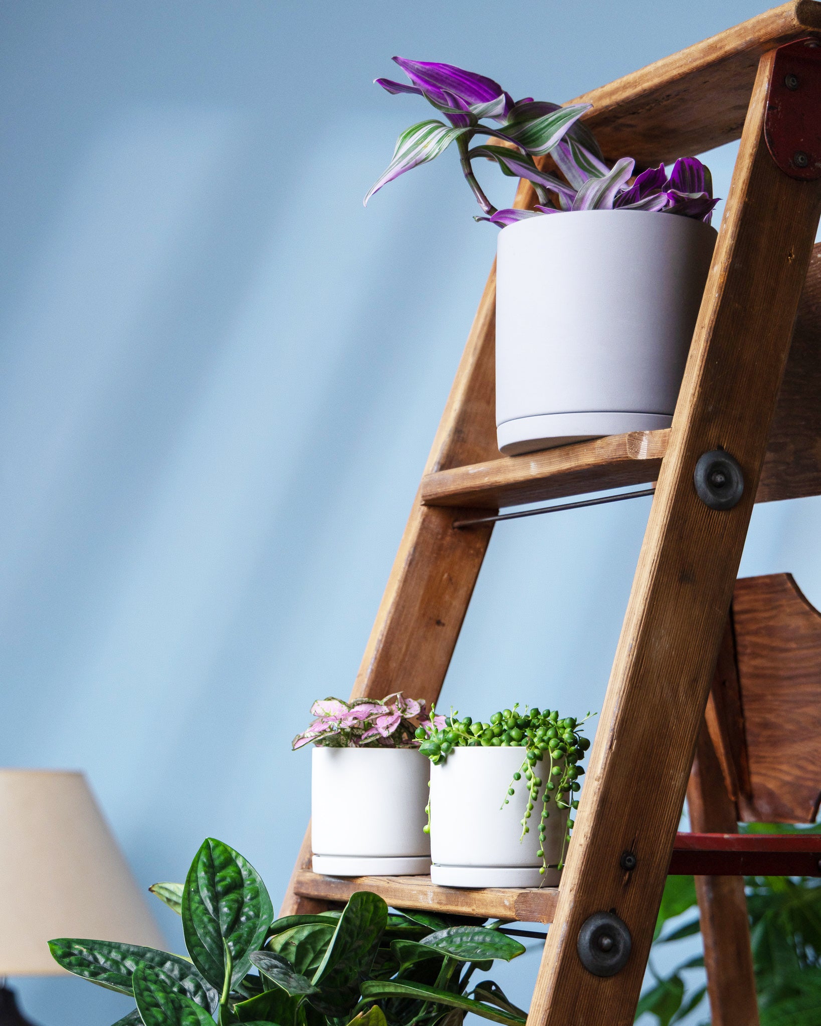 Dojo Porcelain Modern Indoor Plant Pot With Saucer - Chive Ceramics Studio - Pots - Chive Ceramics Studio