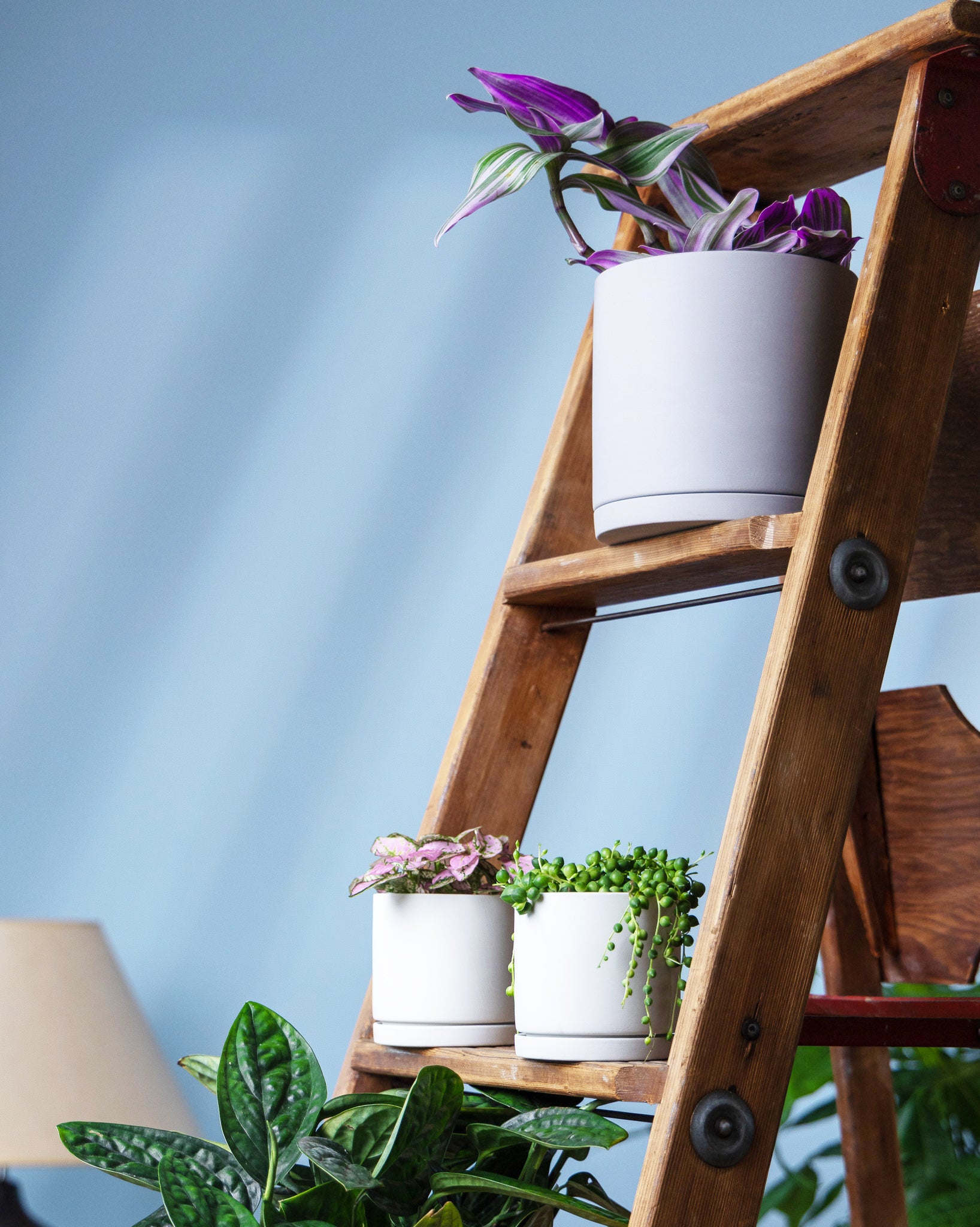 Dojo Porcelain Modern Indoor Plant Pot With Saucer - Chive Ceramics Studio - Pots - Chive Ceramics Studio