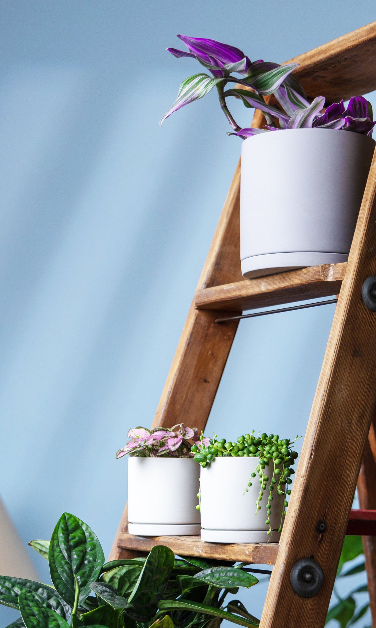 Dojo Porcelain Modern Indoor Plant Pot With Saucer - Chive Ceramics Studio - Pots - Chive Ceramics Studio