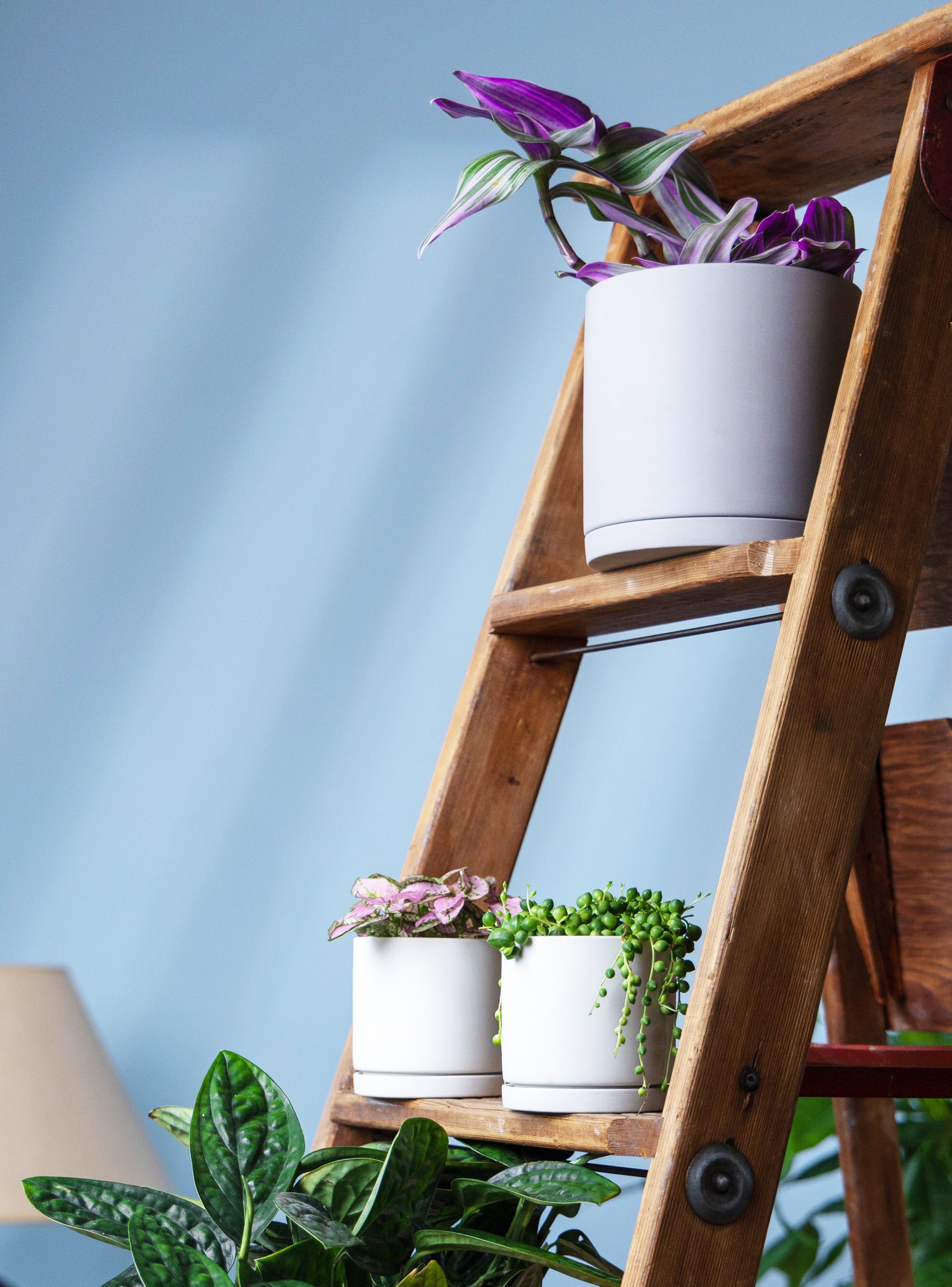 Dojo Porcelain Modern Indoor Plant Pot With Saucer - Chive Ceramics Studio - Pots - Chive Ceramics Studio