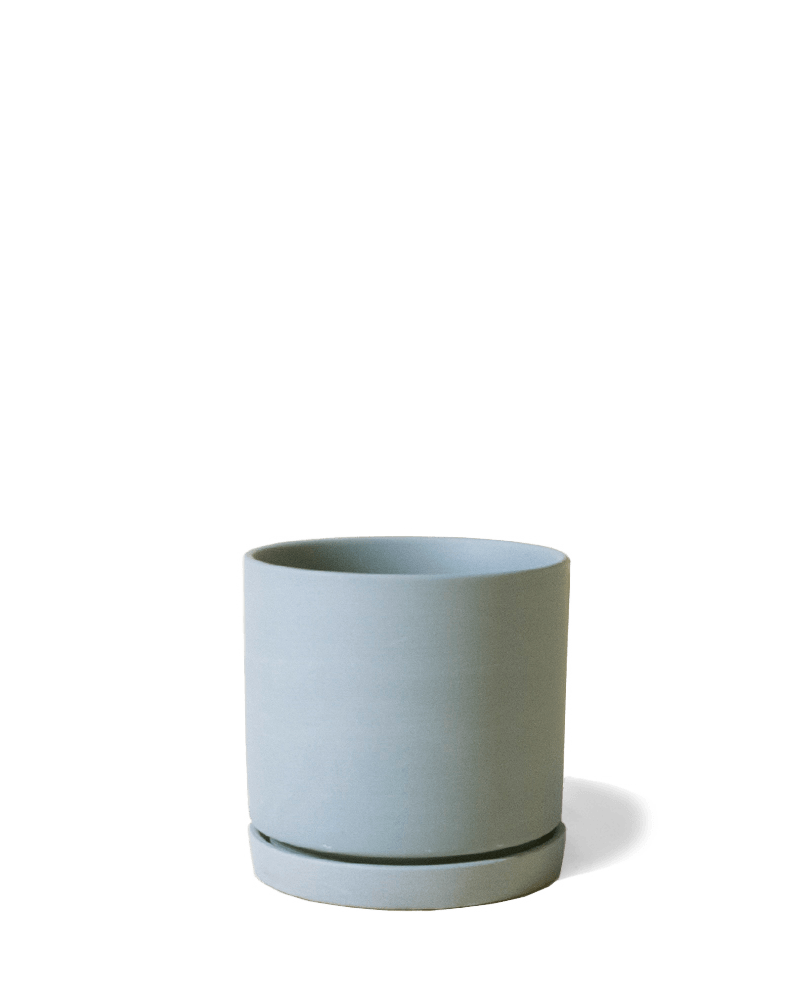 Dojo Porcelain Modern Indoor Plant Pot With Saucer - Chive Ceramics Studio - Pots - Chive Ceramics Studio