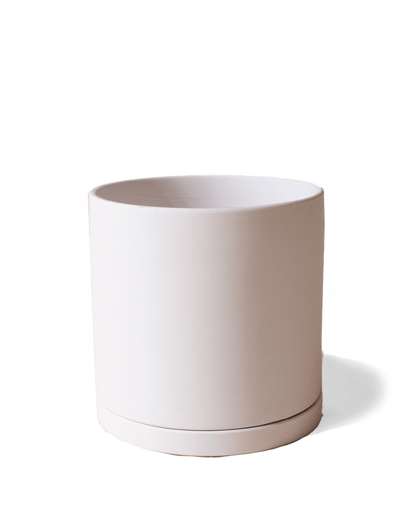 Dojo Porcelain Modern Indoor Plant Pot With Saucer - Chive Ceramics Studio - Pots - Chive Ceramics Studio