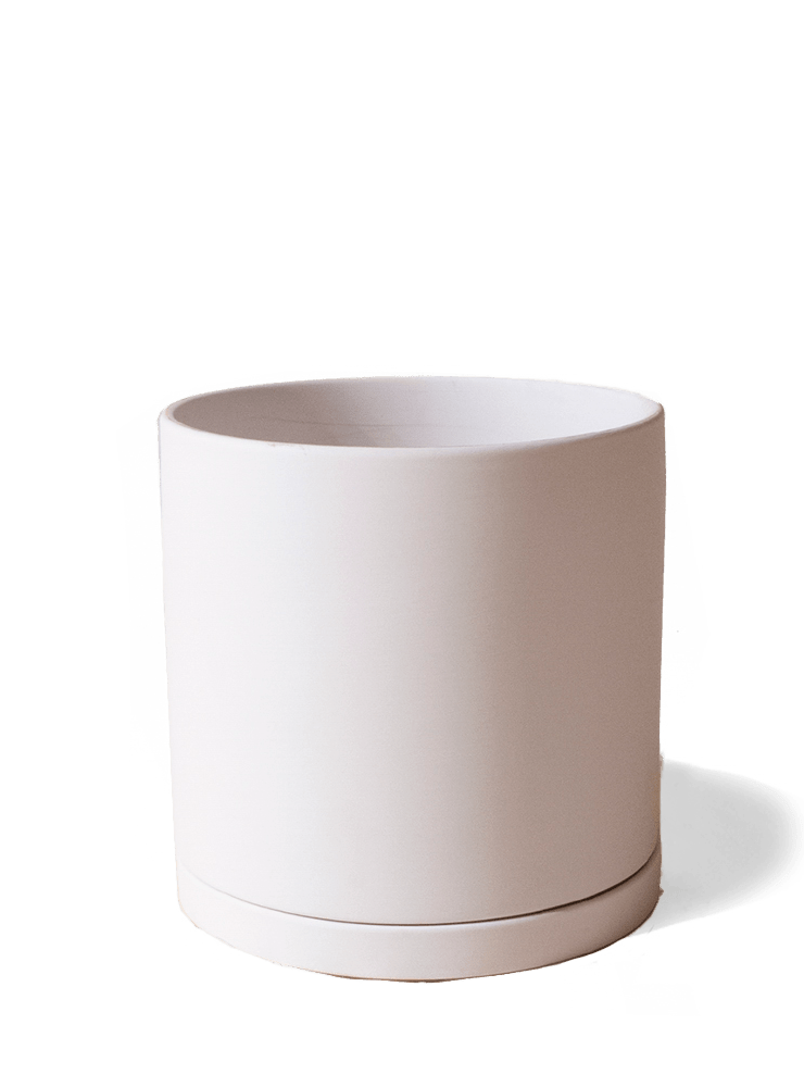Dojo Porcelain Modern Indoor Plant Pot With Saucer - Chive Ceramics Studio - Pots - Chive Ceramics Studio