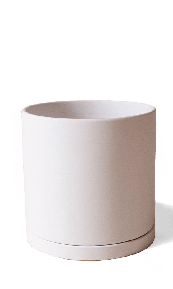 Dojo Porcelain Modern Indoor Plant Pot With Saucer - Chive Ceramics Studio - Pots - Chive Ceramics Studio