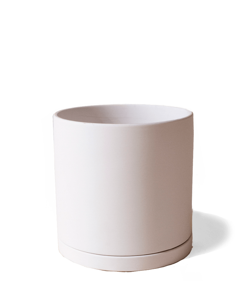 Dojo Porcelain Modern Indoor Plant Pot With Saucer - Chive Ceramics Studio - Pots - Chive Ceramics Studio