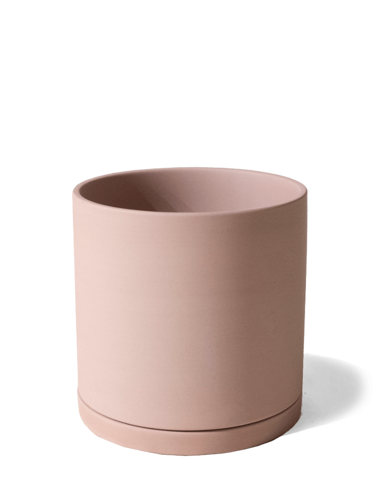 Dojo Porcelain Modern Indoor Plant Pot With Saucer - Chive Ceramics Studio - Pots - Chive Ceramics Studio